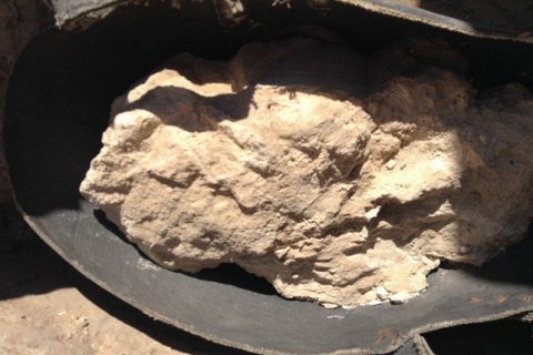 В Египетской гробнице найден самый старый в мире сыр