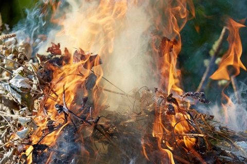Почему дым от горящей листвы так опасен для легких?