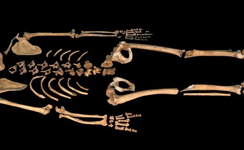 Кости захороненного 40 000 лет назад ребенка раскрыли тайну неандертальцев