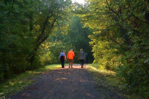Прогулки на природе улучшают психологическое состояние: новое исследование