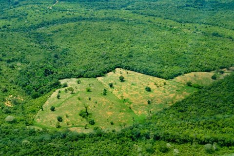 Амазонка действительно может усугубить изменение климата