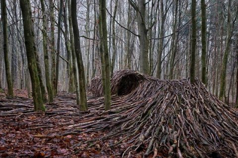 Вдохновленные пандемией лесные скульптуры