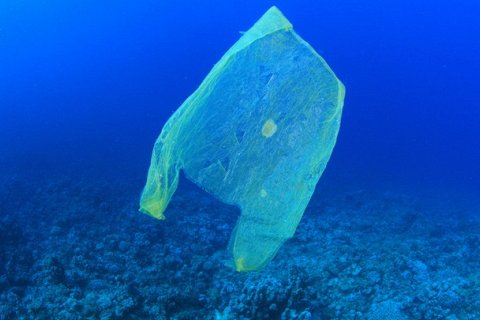 Новое исследование: Как предотвратить загрязнение океана пластиком