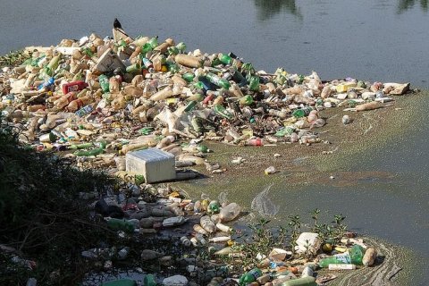 Могут ли бактерии разрушать пластик?