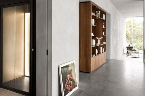 Современный домашний лифт HomeLift