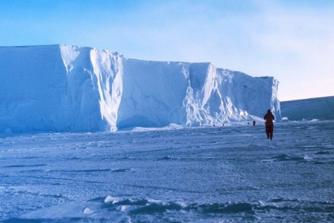 В темноте под шельфовым ледником Антарктики обнаружено изобилие жизни