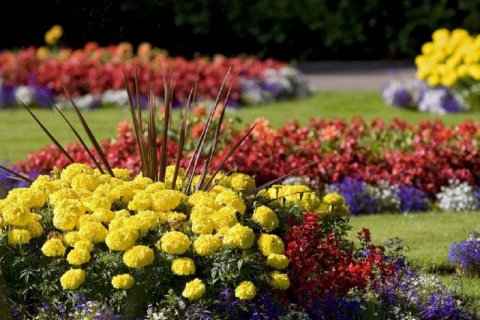 Как оформить клумбу в частном дворе