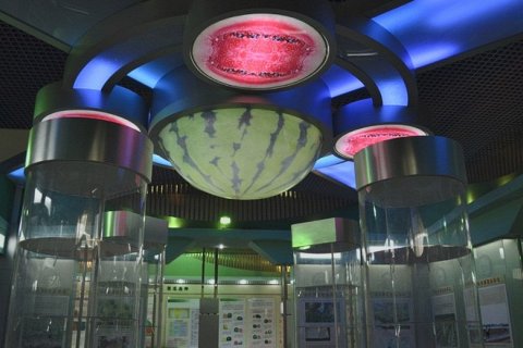Музей арбузов в Китае