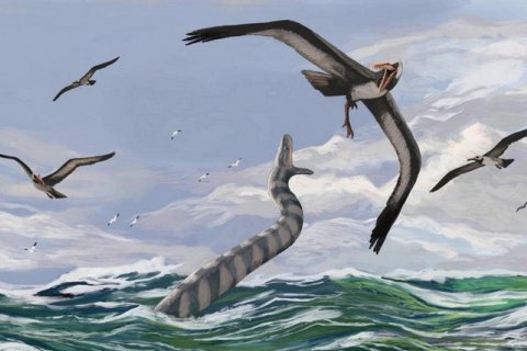 Палеофис Колосс: Самая крупная морская змея всех времен
