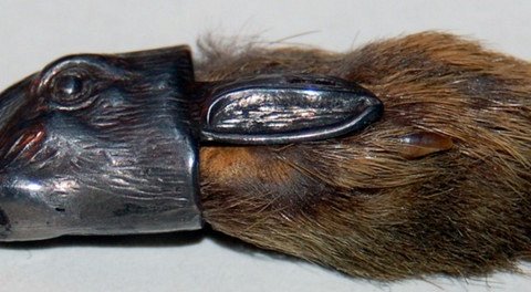 Почему кроличья лапка считается символом удачи?