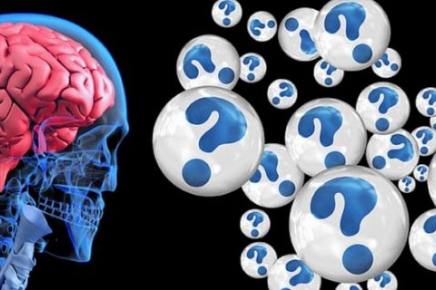 Новое исследование: мозг создает три копии каждого воспоминания