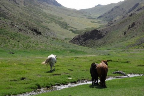 Ледяное поле Ёлын Ам