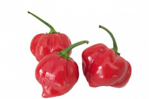 7 самых острых перцев в мире