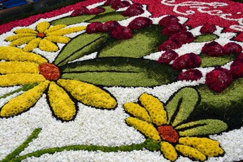 Цветочный фестиваль Ното — торжество ароматов и красок в барочной столице