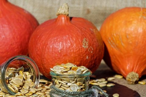 Польза тыквенных семечек: рецепты и способы употребления