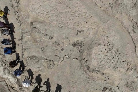 Следы древних гомининов: встреча двух видов