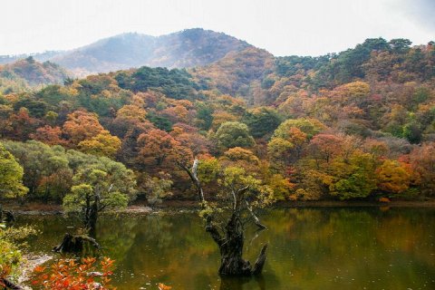 Пруд Джусанжи: волшебное место в Южной Корее