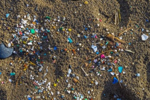 Нанопластик: маленькие частицы, большие риски