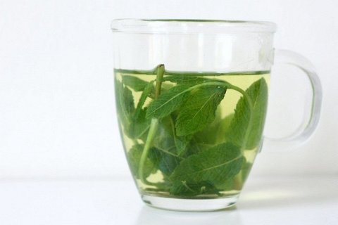 Польза мятного чая для здоровья