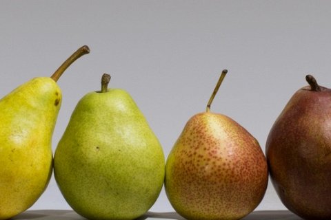 Почему груши полезны для здоровья?