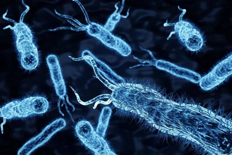 Почти 100% бактериальных инфекций теперь можно выявить менее чем за 3 часа