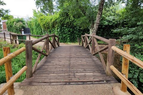 Самый маленький международный мост