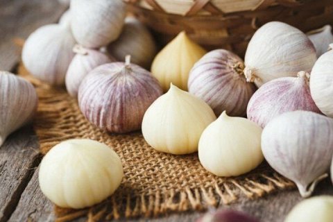 Соло-чеснок — однозубковый чеснок, о котором вы не слышали