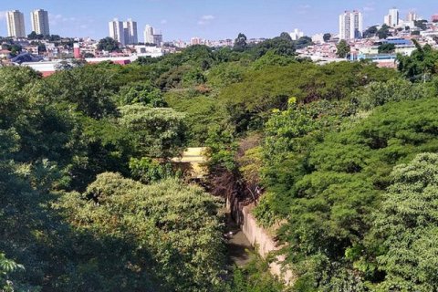 Человек, который высадил 40 000 деревьев и создал парк