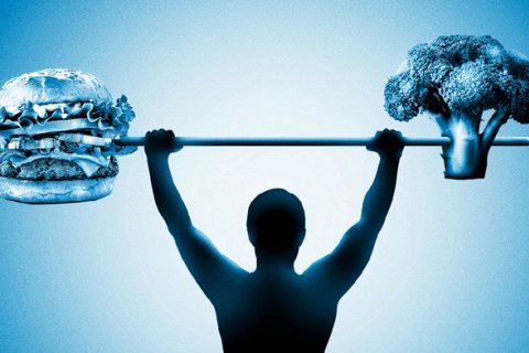 Неожиданный ответ: лучший белок для роста мышц