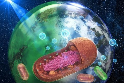 Океаны Земли: от зелёного в прошлом к фиолетовому в будущем