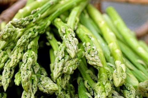 Чем полезна спаржа: 6 причин включить её в рацион
