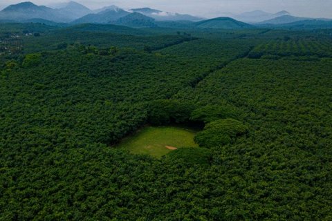 Обнаружено самое красивое крикетное поле Индии