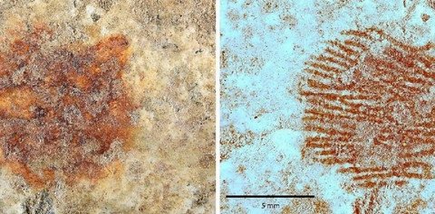 Археологи обнаружили 43-тысячелетний отпечаток пальца неандертальца