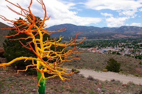 Цветные деревья в горах Колорадо
