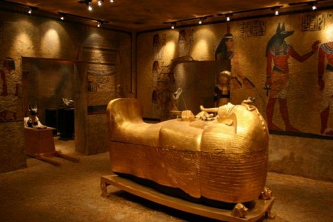 Грибок из гробницы Тутанхамона может лечить рак