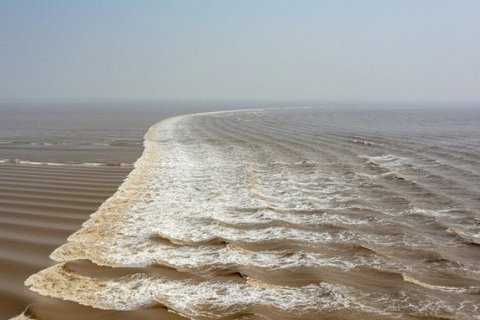 Прилив в виде рыбьей чешуи — уникальное природное явление