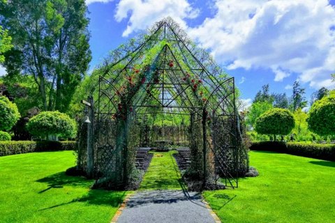 Собор из деревьев: живой храм в Новой Зеландии