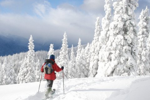 Почему снег скрипит под ногами?