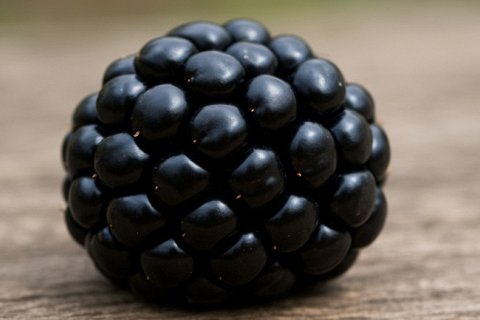 Маленькая, но полезная ежевика: почему стоит включить её в рацион