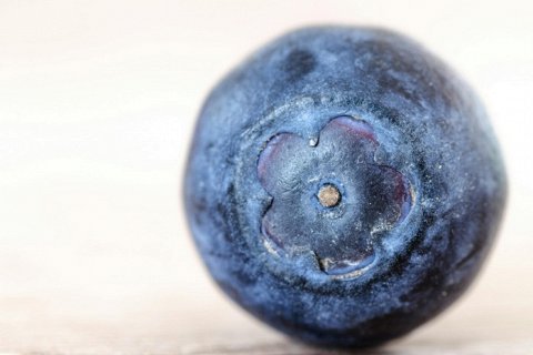 Польза черники: вкусная ягода для здоровья и долголетия