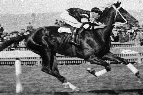 «Сладкий Поцелуй Смерти»: единственная посмертная победа в истории скачек