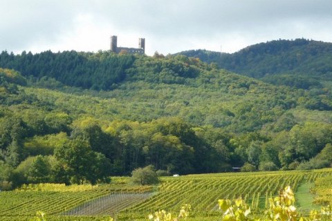 Замок О-Андло: средневековая крепость в сердце Эльзаса