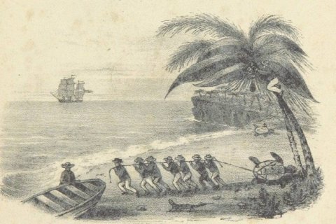 Острова, на которых запрещено жить: удивительные запреты