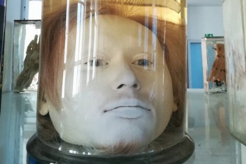 Голова маньяка в формалине: мрачная история Диогу Алвеша