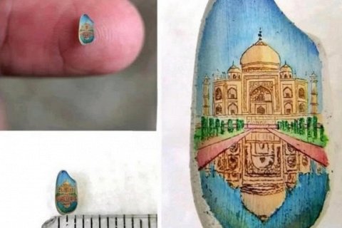 Картина на рисовом зерне: микроскопический Тадж-Махал