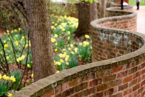 Волнистые стены Англии: красота, которая держит форму