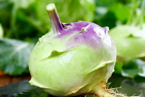 Кольраби: непривычный овощ с удивительными полезными свойствами