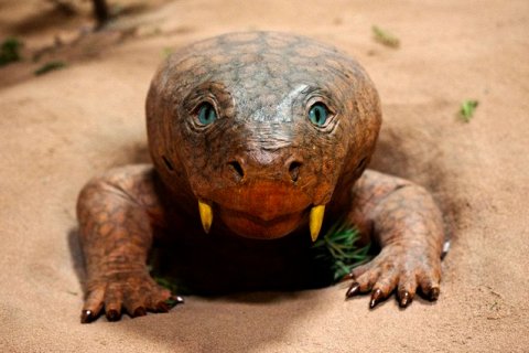 Рисунок XIX века, который может изображать вымершего диконодонта