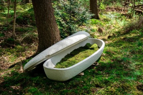 Первый в мире биоразлагаемый гроб из грибов
