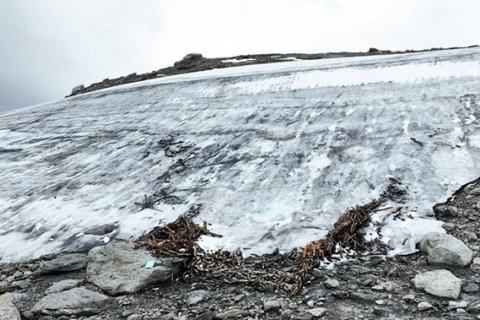 Оленья ловушка изо льда. Уникальная находка на плато Аурландсфьелл
